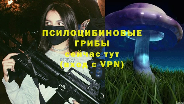 mix Пересвет