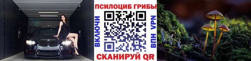 Галлюциногенные грибы прущие грибы  цены   Руза 